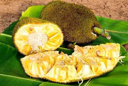 Sliced Jackfruit